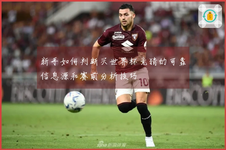 新手如何判断买世界杯竞猜的可靠信息源和赛前分析技巧