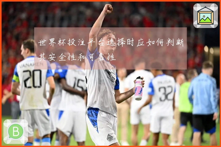 世界杯投注平台选择时应如何判断其安全性和可靠性