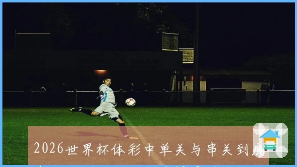 2026世界杯体彩中单关与串关到底有哪些区别，如何选择更适合你的投注方式