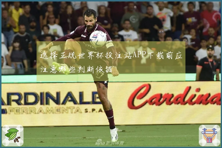 选择正规世界杯投注站APP下载前应注意哪些判断依据