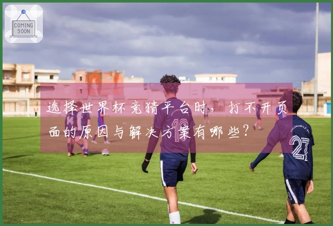 选择世界杯竞猜平台时，打不开页面的原因与解决方案有哪些？