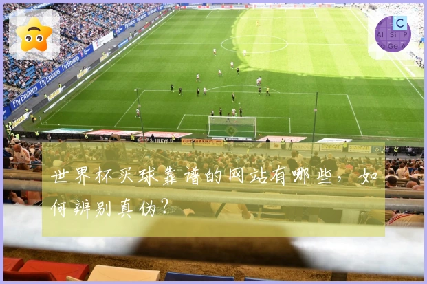 世界杯买球靠谱的网站有哪些，如何辨别真伪？