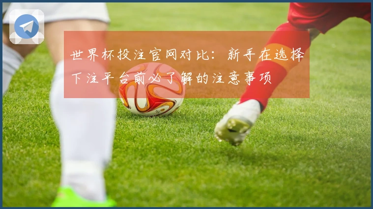世界杯投注官网对比：新手在选择下注平台前必了解的注意事项