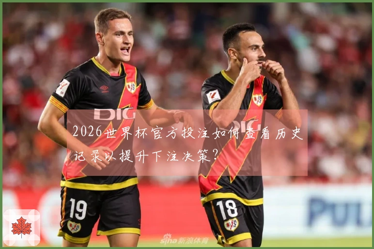 2026世界杯官方投注如何查看历史记录以提升下注决策？