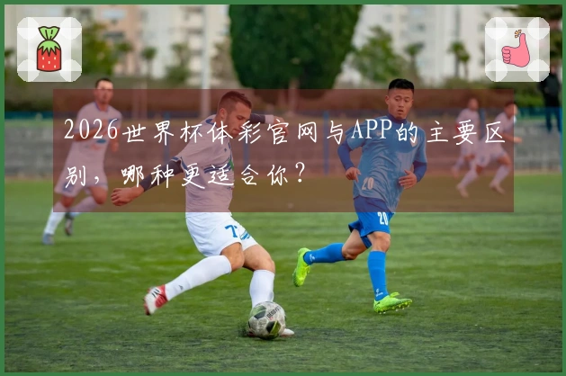 2026世界杯体彩官网与APP的主要区别，哪种更适合你？