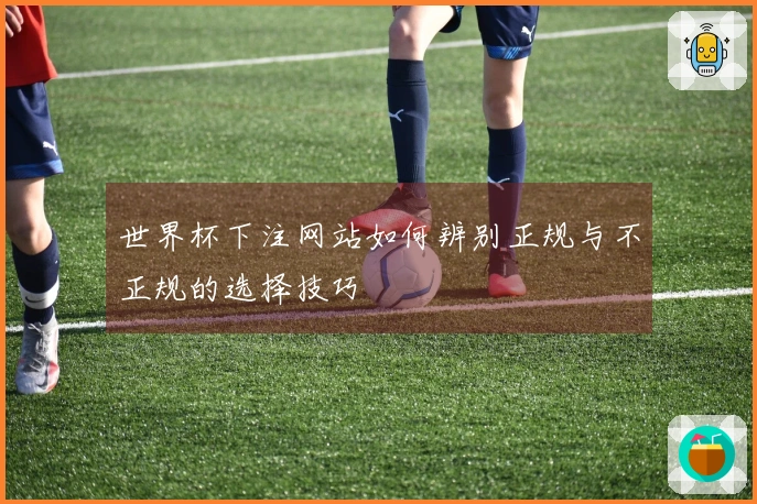 世界杯下注网站如何辨别正规与不正规的选择技巧
