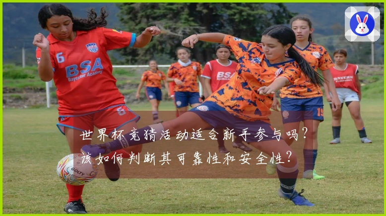 世界杯竞猜活动适合新手参与吗?该如何判断其可靠性和安全性?