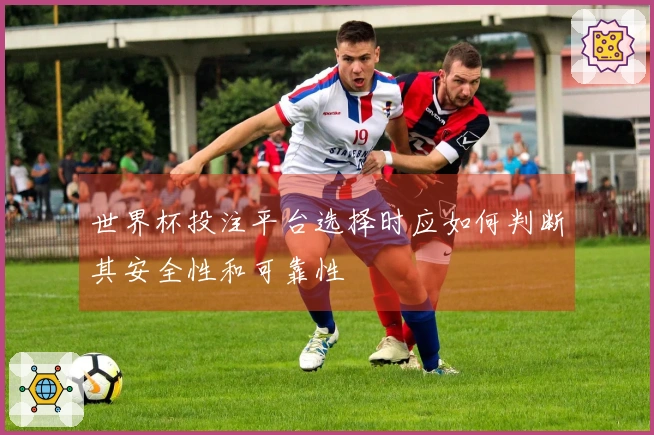 世界杯投注平台选择时应如何判断其安全性和可靠性