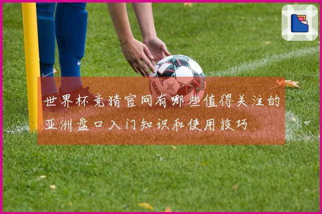 世界杯竞猜官网有哪些值得关注的亚洲盘口入门知识和使用技巧