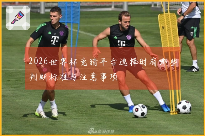 2026世界杯竞猜平台选择时有哪些判断标准与注意事项