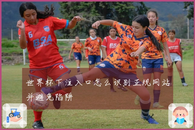 世界杯下注入口怎么识别正规网站并避免陷阱