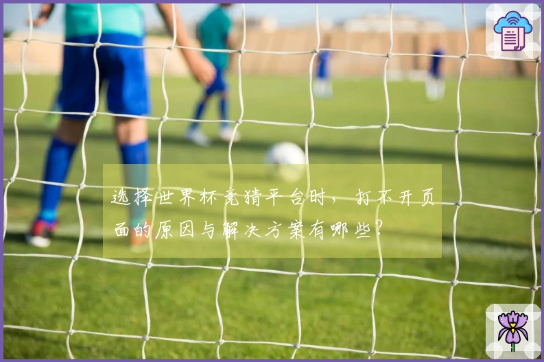 选择世界杯竞猜平台时，打不开页面的原因与解决方案有哪些？