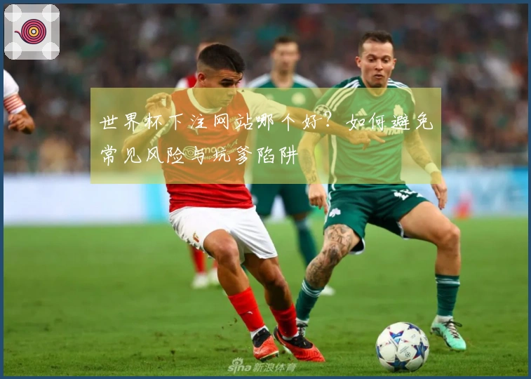 世界杯下注网站哪个好？如何避免常见风险与坑爹陷阱