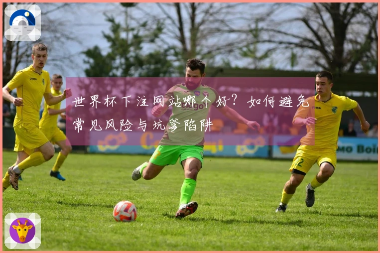世界杯下注网站哪个好?如何避免常见风险与坑爹陷阱