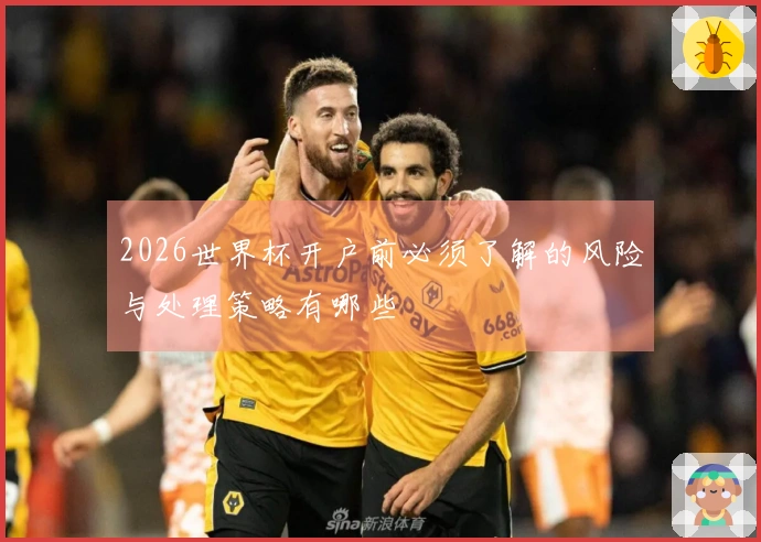 2026世界杯开户前必须了解的风险与处理策略有哪些