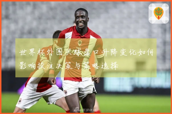 世界杯外围买球盘口升降变化如何影响投注决策与策略选择