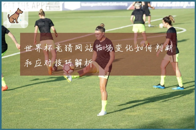 世界杯竞猜网站临场变化如何判断和应对技巧解析