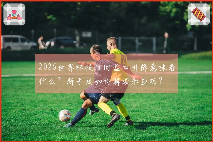 2026世界杯投注时盘口升降意味着什么？新手该如何解读和应对？